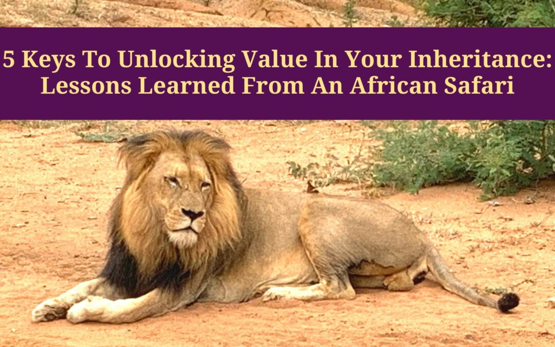 Five Keys to Unlocking Value In Your Inheritance: Lessons Learned from an African Safari