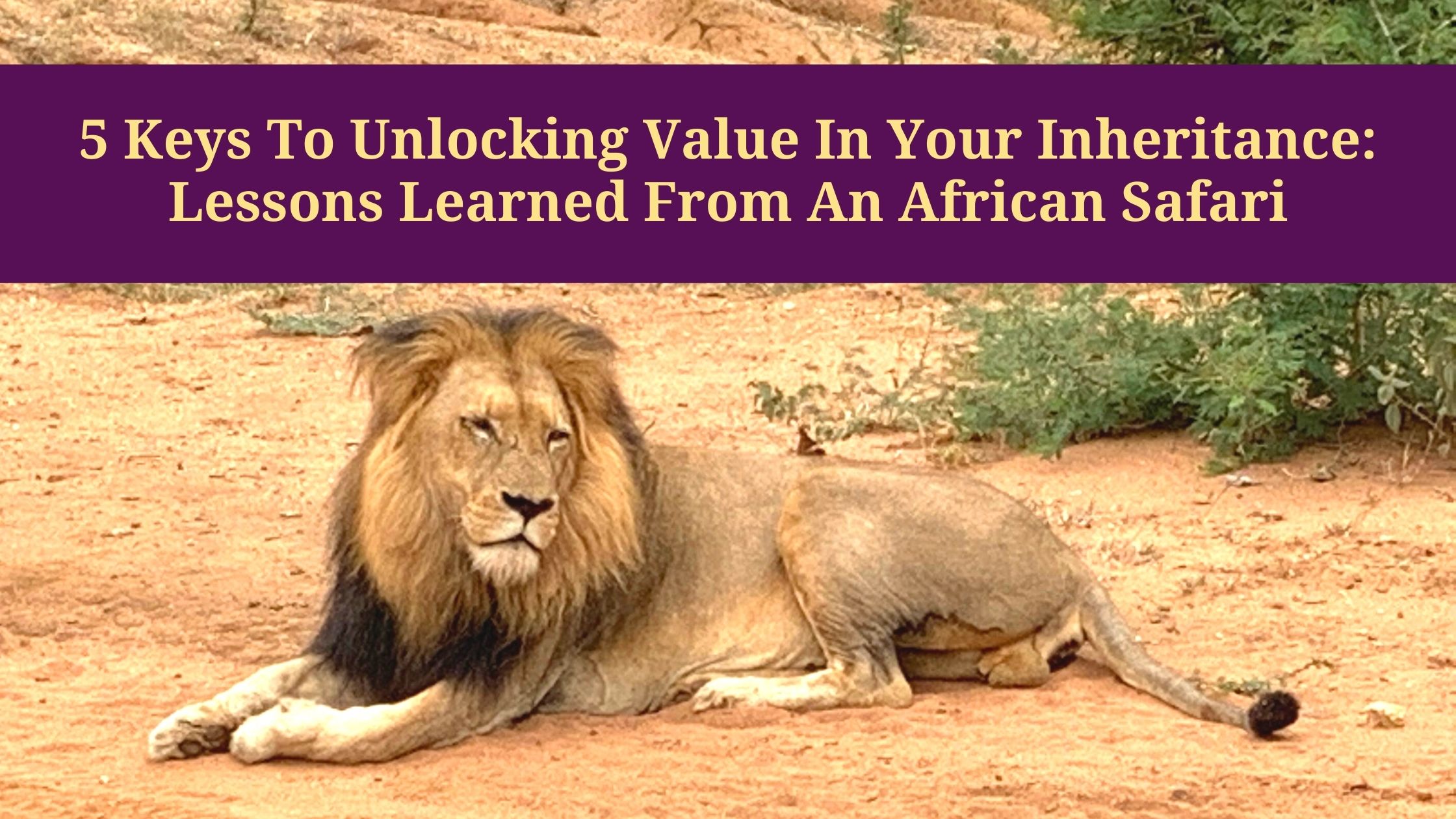 5 Keys To Unlocking Value In Your Inheritance: An African Safari Story