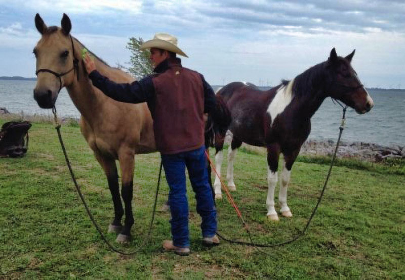 What do Compassionate Financial Life Planning & Natural Horsemanship Have in Common?