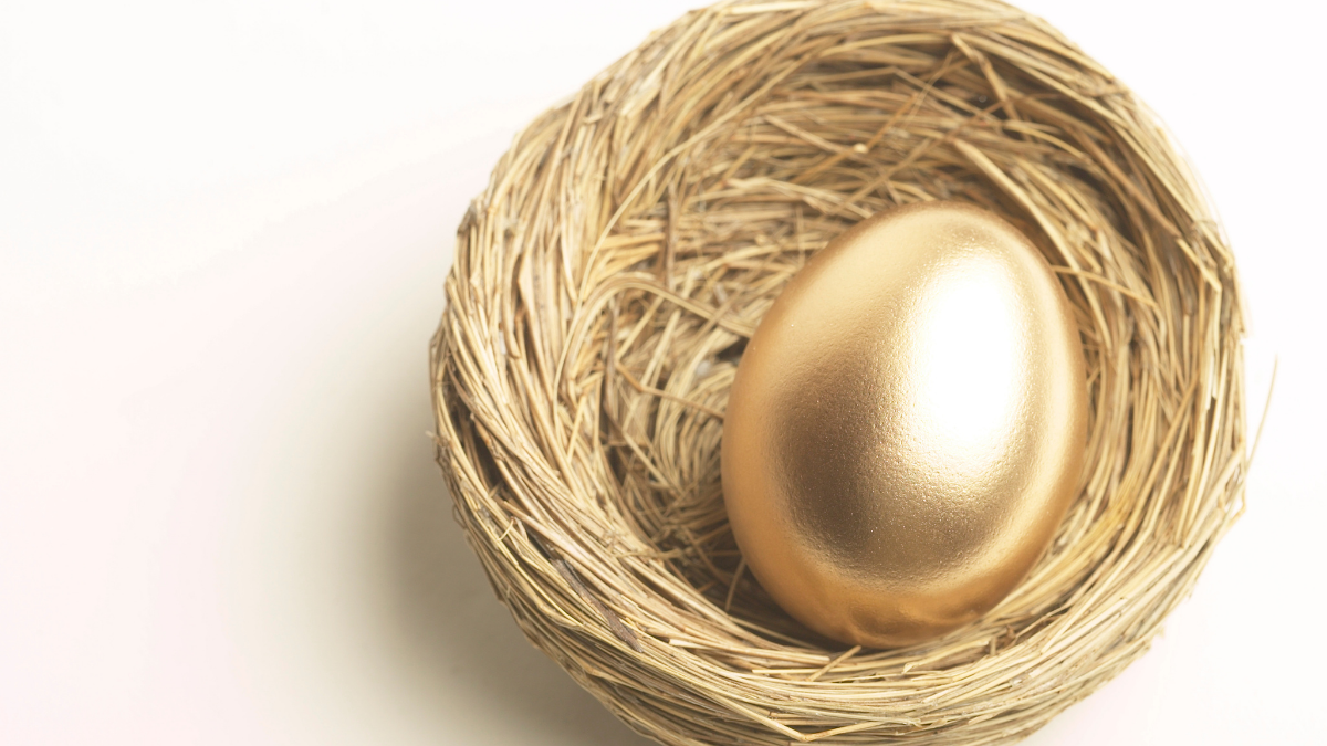employer sponsored pension plans are the golden egg