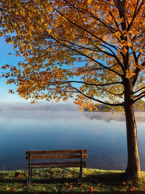 What will your legacy be? Photo of park bench and tree at a lake.